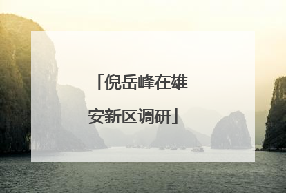 倪岳峰在雄安新区调研