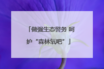 做强生态警务 呵护“森林氧吧”