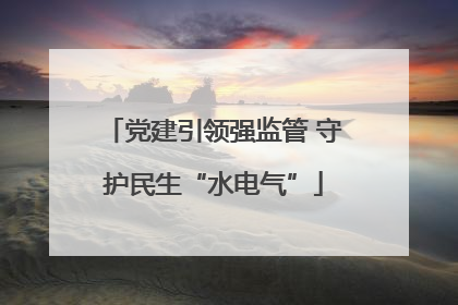 党建引领强监管 守护民生“水电气”