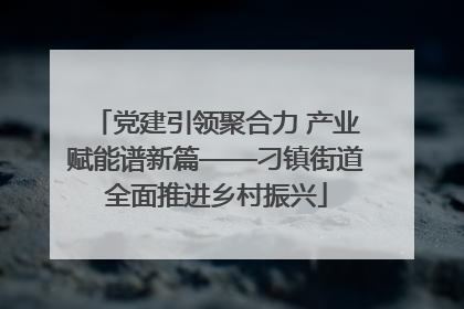 党建引领聚合力 产业赋能谱新篇——刁镇街道全面推进乡村振兴