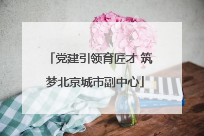 党建引领育匠才 筑梦北京城市副中心