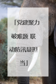 党建聚力破难题 联动防汛显担当