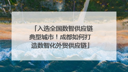 入选全国数智供应链典型城市！成都如何打造数智化外贸供应链