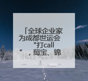 全球企业家为成都世运会“打call”，蜀宝、锦仔成焦点