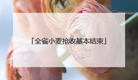 全省小麦抢收基本结束