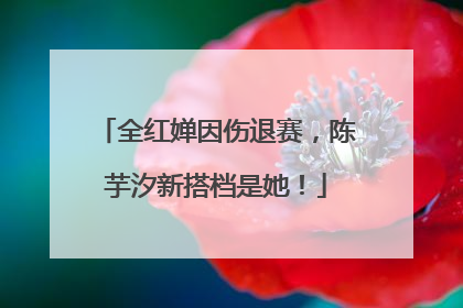 全红婵因伤退赛，陈芋汐新搭档是她！