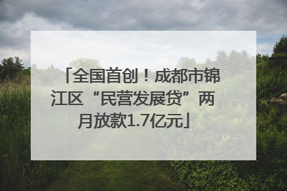 全国首创！成都市锦江区“民营发展贷”两月放款1.7亿元