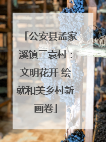 公安县孟家溪镇三袁村：文明花开 绘就和美乡村新画卷