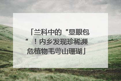 兰科中的“显眼包”！内乡发现珍稀濒危植物毛萼山珊瑚