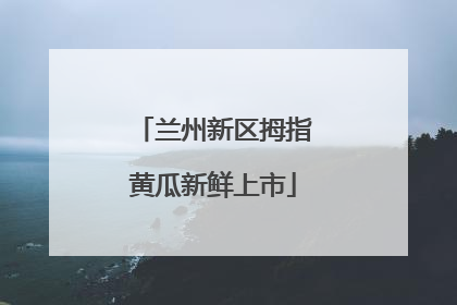 兰州新区拇指黄瓜新鲜上市