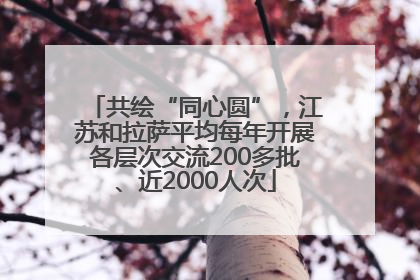 共绘“同心圆”，江苏和拉萨平均每年开展各层次交流200多批、近2000人次