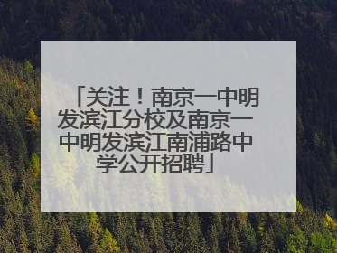 关注！南京一中明发滨江分校及南京一中明发滨江南浦路中学公开招聘