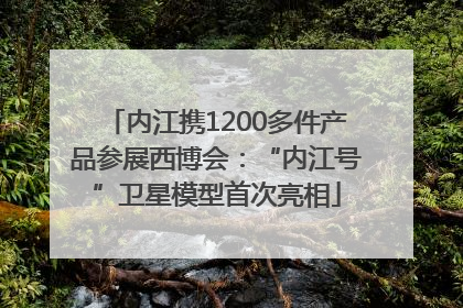 内江携1200多件产品参展西博会：“内江号”卫星模型首次亮相