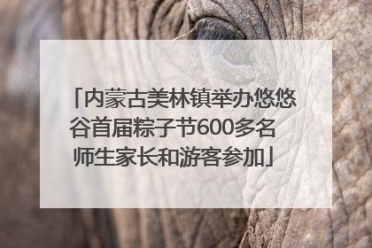 内蒙古美林镇举办悠悠谷首届粽子节600多名师生家长和游客参加