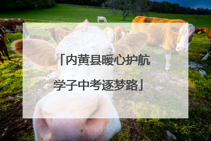 内黄县暖心护航学子中考逐梦路