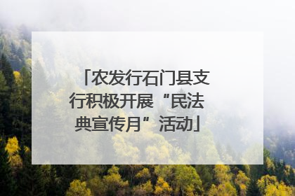 农发行石门县支行积极开展“民法典宣传月”活动