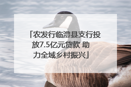 农发行临澧县支行投放7.5亿元贷款 助力全域乡村振兴