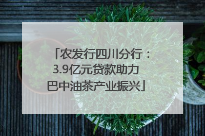 农发行四川分行：3.9亿元贷款助力巴中油茶产业振兴
