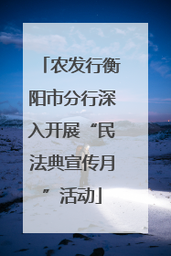 农发行衡阳市分行深入开展“民法典宣传月”活动