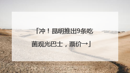 冲！昆明推出9条吃菌观光巴士，票价→