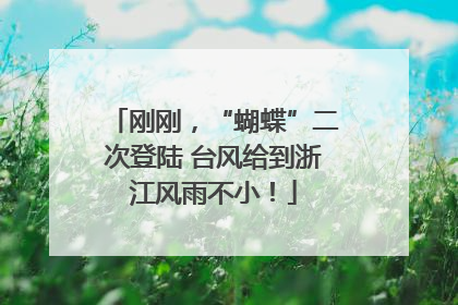 刚刚，“蝴蝶”二次登陆 台风给到浙江风雨不小！