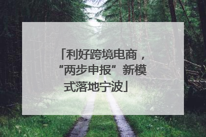 利好跨境电商，“两步申报”新模式落地宁波