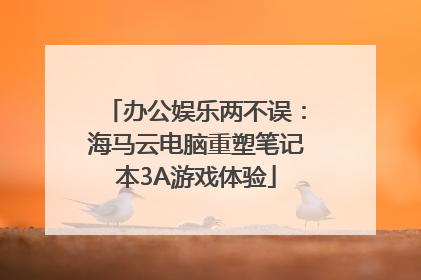 办公娱乐两不误：海马云电脑重塑笔记本3A游戏体验