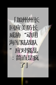 加州州长回应美防长威胁“动用海军陆战队”应对骚乱：简直是疯了