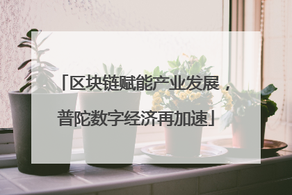 区块链赋能产业发展，普陀数字经济再加速