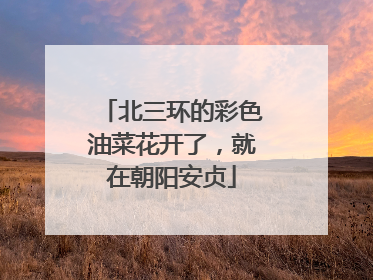 北三环的彩色油菜花开了，就在朝阳安贞