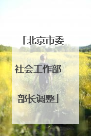 北京市委社会工作部部长调整