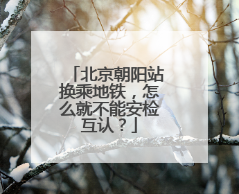 北京朝阳站换乘地铁，怎么就不能安检互认？