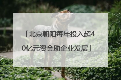 北京朝阳每年投入超40亿元资金助企业发展