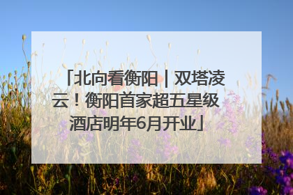 北向看衡阳｜双塔凌云！衡阳首家超五星级酒店明年6月开业