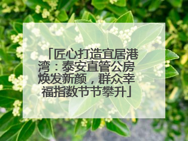 匠心打造宜居港湾：泰安直管公房焕发新颜，群众幸福指数节节攀升