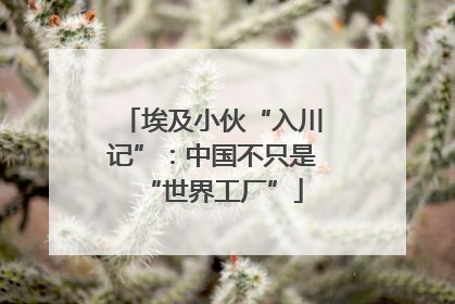 埃及小伙“入川记”：中国不只是“世界工厂”