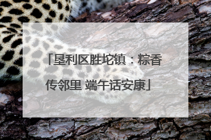 垦利区胜坨镇：粽香传邻里 端午话安康