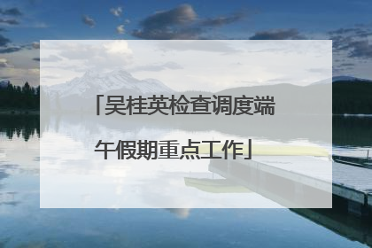 吴桂英检查调度端午假期重点工作
