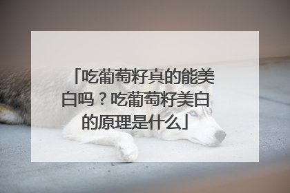 吃葡萄籽真的能美白吗？吃葡萄籽美白的原理是什么