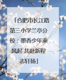 合肥市长江路第三小学兰亭分校：墨香少年乘风起 共赴新程志轩扬