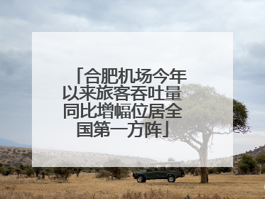 合肥机场今年以来旅客吞吐量同比增幅位居全国第一方阵