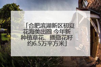 合肥滨湖新区初夏花海美出圈 今年新种植草花、播撒花籽约6.5万平方米
