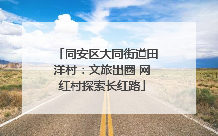 同安区大同街道田洋村：文旅出圈 网红村探索长红路