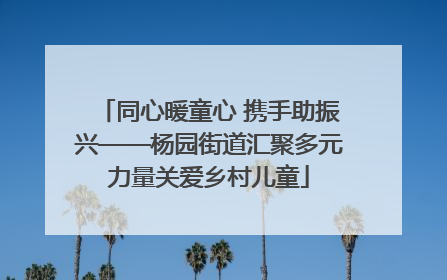 同心暖童心 携手助振兴——杨园街道汇聚多元力量关爱乡村儿童
