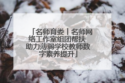 名师育娄丨名师网络工作室组团帮扶 助力薄弱学校教师数字素养提升