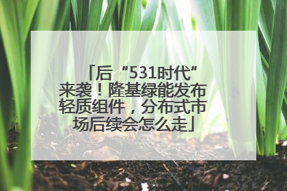 后“531时代”来袭！隆基绿能发布轻质组件，分布式市场后续会怎么走