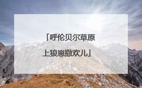 呼伦贝尔草原上狼崽撒欢儿