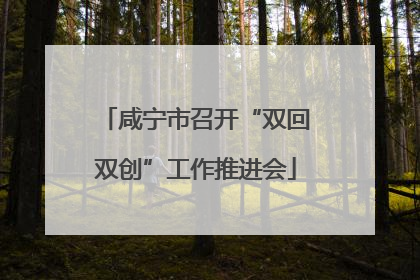 咸宁市召开“双回双创”工作推进会