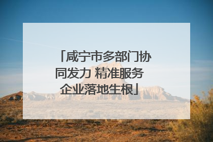 咸宁市多部门协同发力 精准服务企业落地生根