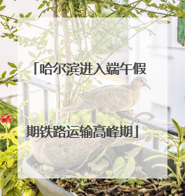 哈尔滨进入端午假期铁路运输高峰期